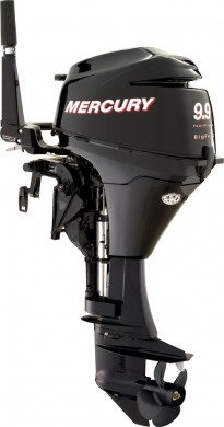 Mercury 9.9HP Big Foot