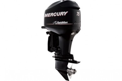 Mercury Optimax 75HP