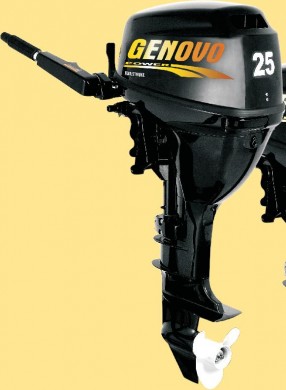  GENOVO 25 HP demote control